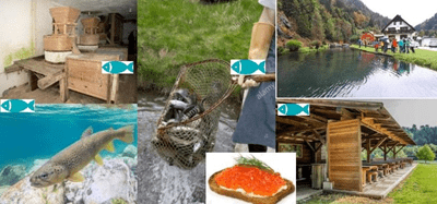 Urejanje lokacij za ribji sonaravni turizem in predstavljanje ribje kulturne dediščine (ZOOM), 16.11.2020