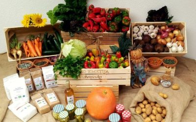 Vzpostavitev trgovine z lokalnimi pridelki in izdelki v Tržiču – povabilo k sodelovanju – 13.4.2023