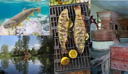 Ribja kulturna dediščina in ribištvo na vodnih območjih občine Naklo & spoznavanje ribje kulinarike, 20.6.2020